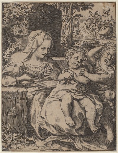 Madonna of the Swallow by Annibale Carracci